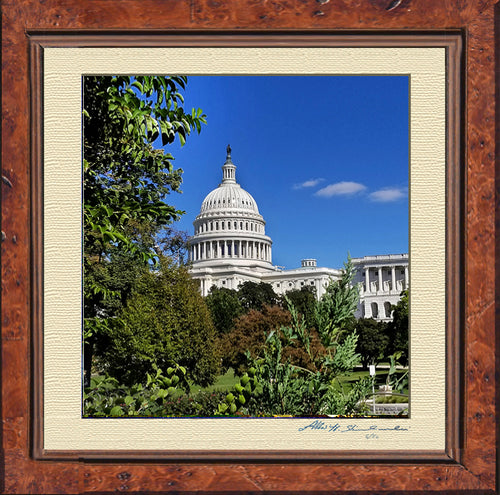 The United States Capitol From the Botanic Garden