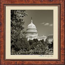 Load image into Gallery viewer, The United States Capitol From Botanic Garden